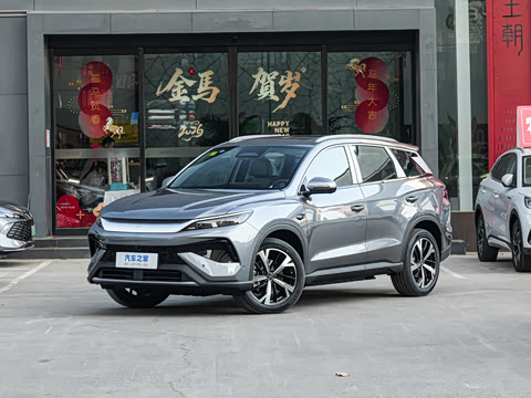 2026�� DM-i 220KM��Խ��