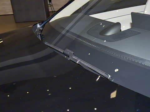 2025�� ���� Max��������