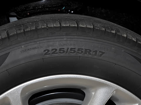 2025�� 25T ������