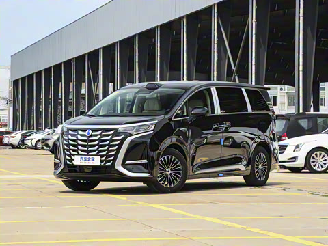 2025�� DM-i ��������