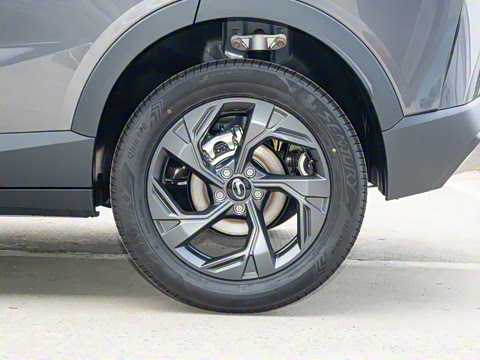 2026�� Ӱ�� 270T ������