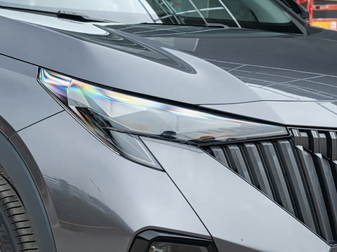 2026�� Ӱ�� 270T ������