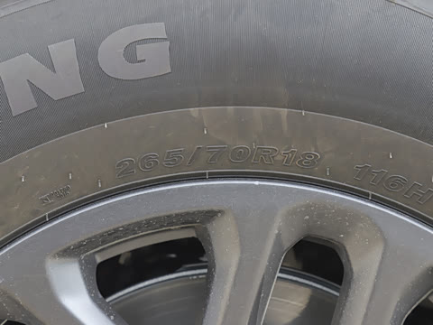 2025�� ̽Ұ�� 5��