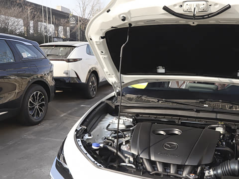 2025�� 2.0L �Զ�������