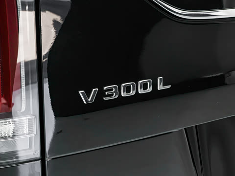 2026�� 2.0T �����Max