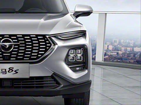 2020�� 1.6TGDI �Զ�������