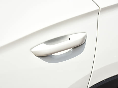 2026�� DM-i 220KM��Խ��