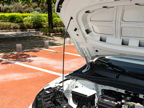 2025�� 550���а�