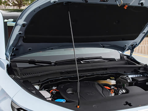 2026�� 220km �������������������