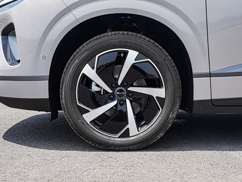 2026�� DM-i 175kW�캽Pro��