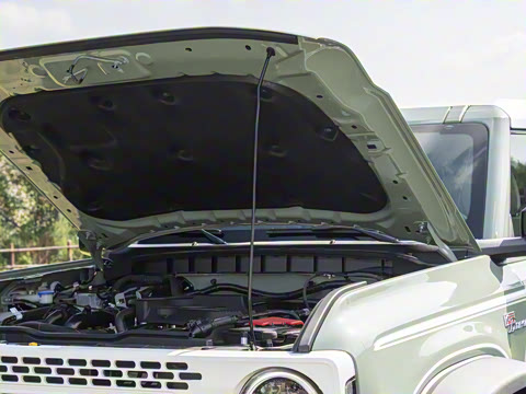 2025�� 2.3T 1966��׼��