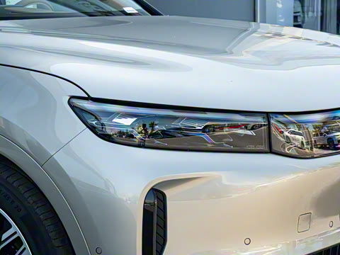 2025�� FREE+ ����Ǭ����