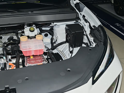 2025�� 530�캽��