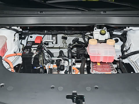 2025�� 530�캽��