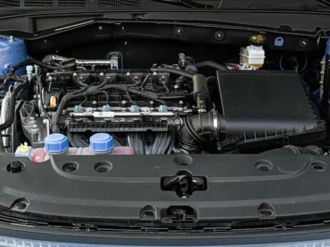 2026�� 1.5L �������� ������
