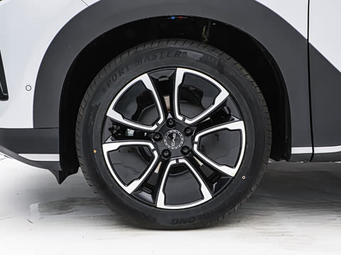 2026�� DM-i 220�Ǻ���