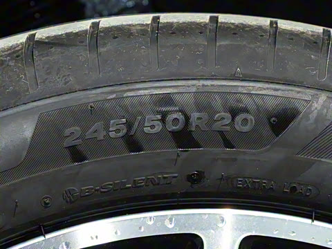 2025�� ���� Pro