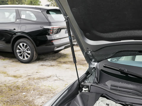 2025�� ������