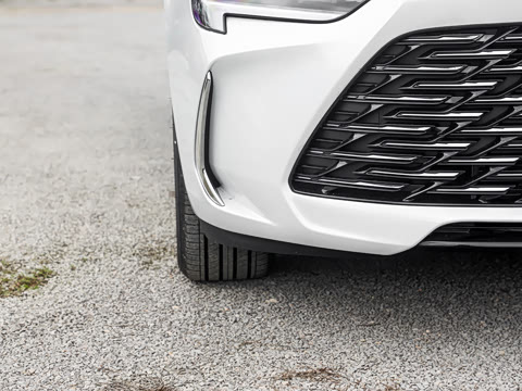 2025�� 25T ������