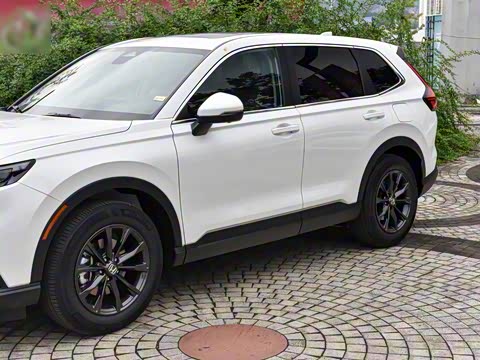 2026�� ȫ��30����ҫ�� 240TURBO ���������