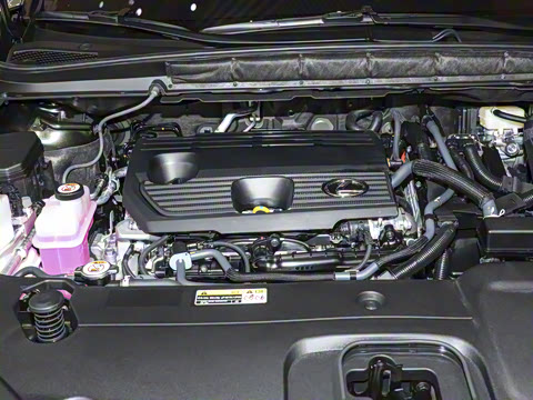 2025�� 350h ����������