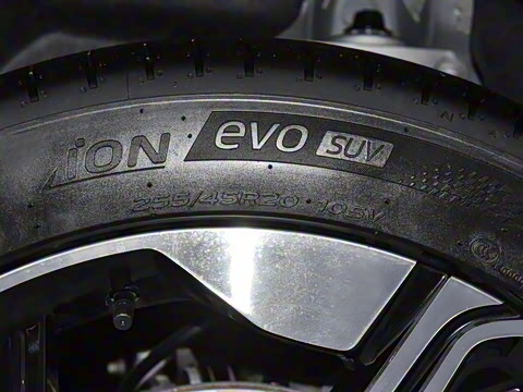 2024�� ������������