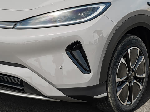 2026�� DM-i 305�캽��