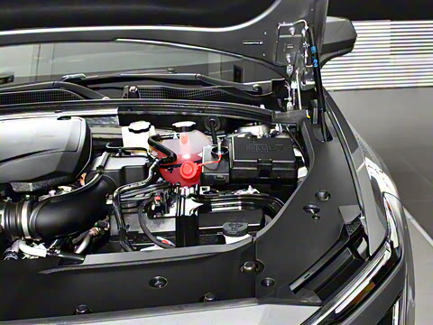 2023�� 25T ������