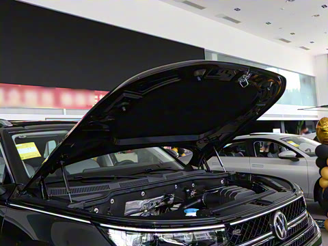 2025�� 380TSI ����R-LineѲ�� ������