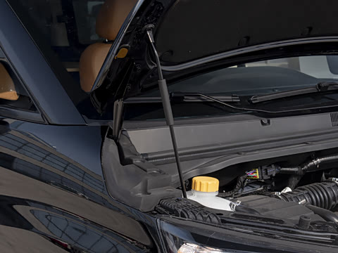 2026�� 2.0L �ֶ���Ӫ�� 5��