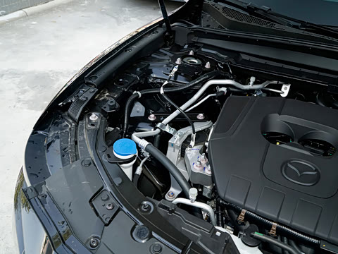 2026�� 2.5L ���а�