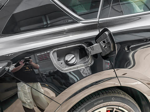 2025�� FREE+ ����Ǭ����