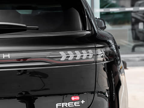 2025�� FREE+ ����Ǭ����