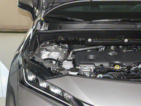 2024�� 2.5L���ܵ��˫�� ����������