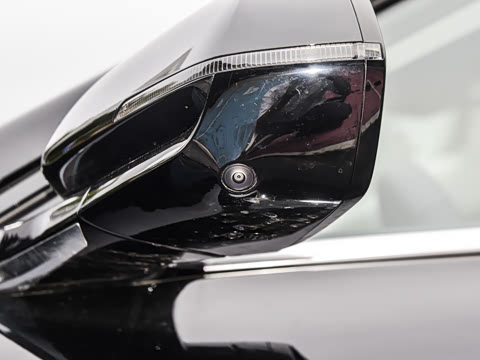 2025�� ������