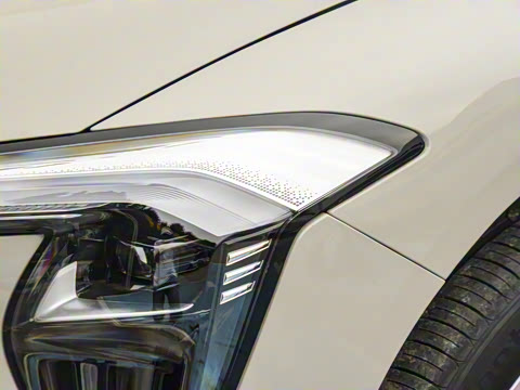 2025�� ������