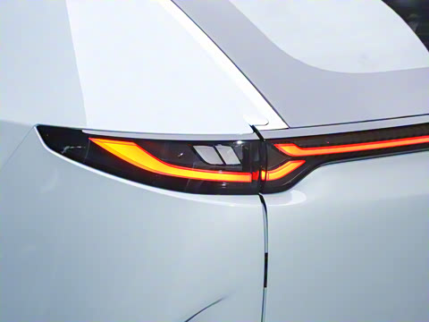 2025�� ����600 Pro