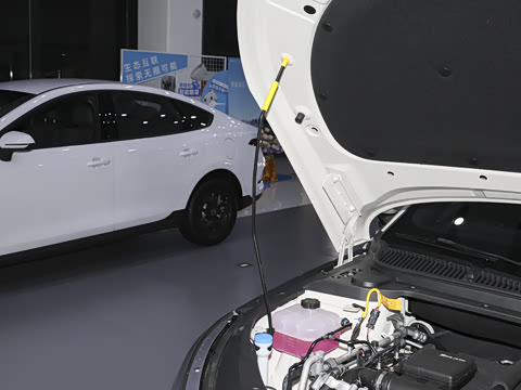 2026�� DM-i 210KM��Խ��