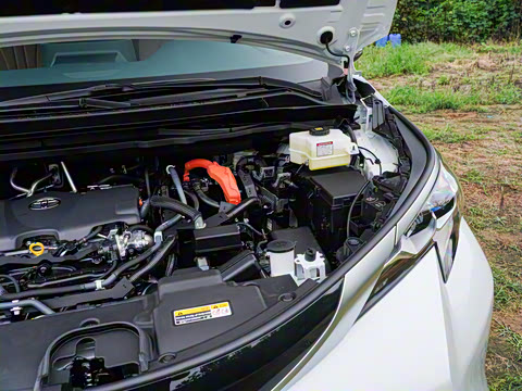 2026�� 2.5L ˫������������