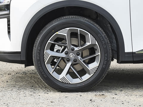 2026�� ���Ĵ� 1.5T �������� �콢��