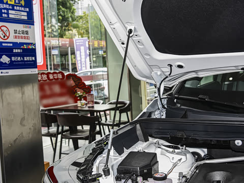 2026�� ˫�� 2.5L �����콢��