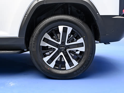 2026�� 255km ������