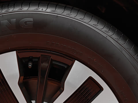 2026�� 255km ������