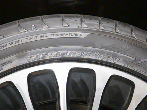 2025�� ���� ����Max