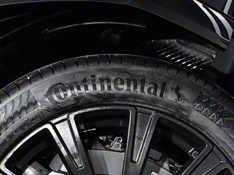 2025�� ������