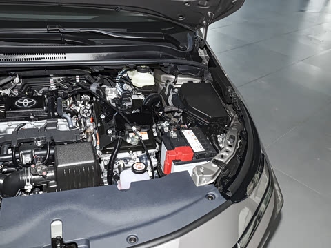 2026�� 1.8L ˫�� �ȷ��