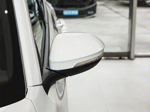 2026�� 300TSI DSG���������