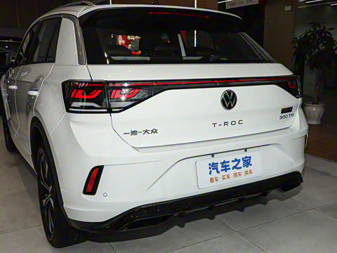 2026�� 300TSI DSG���������