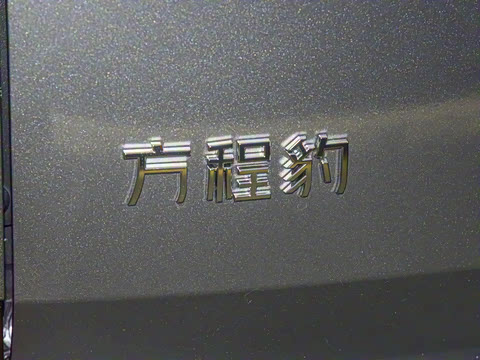 2025�� 135KM����Pro��