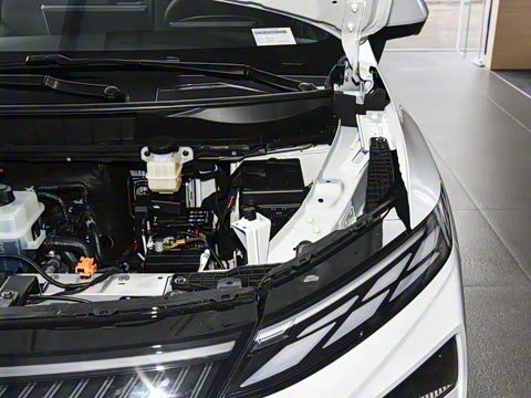 2026�� ������������